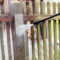 Decking & Fence Cleaning